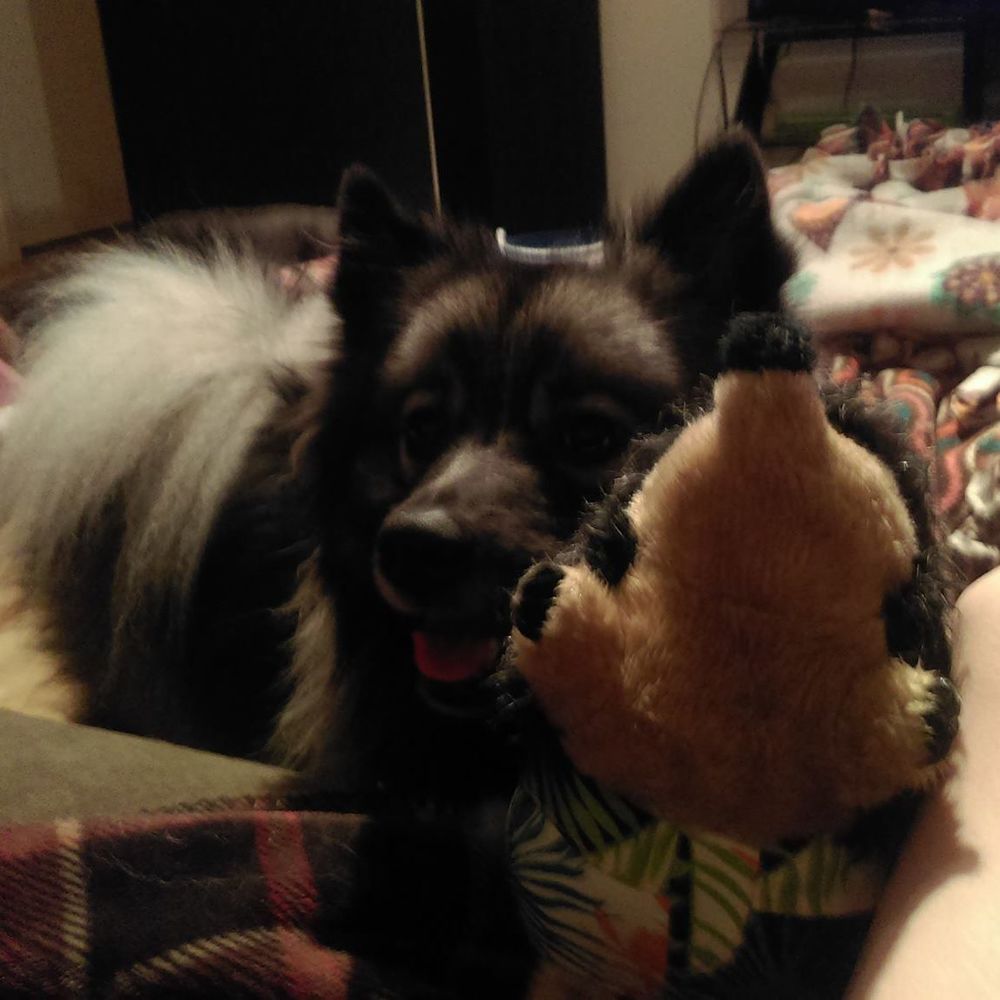 Meet your Posher, Joanna